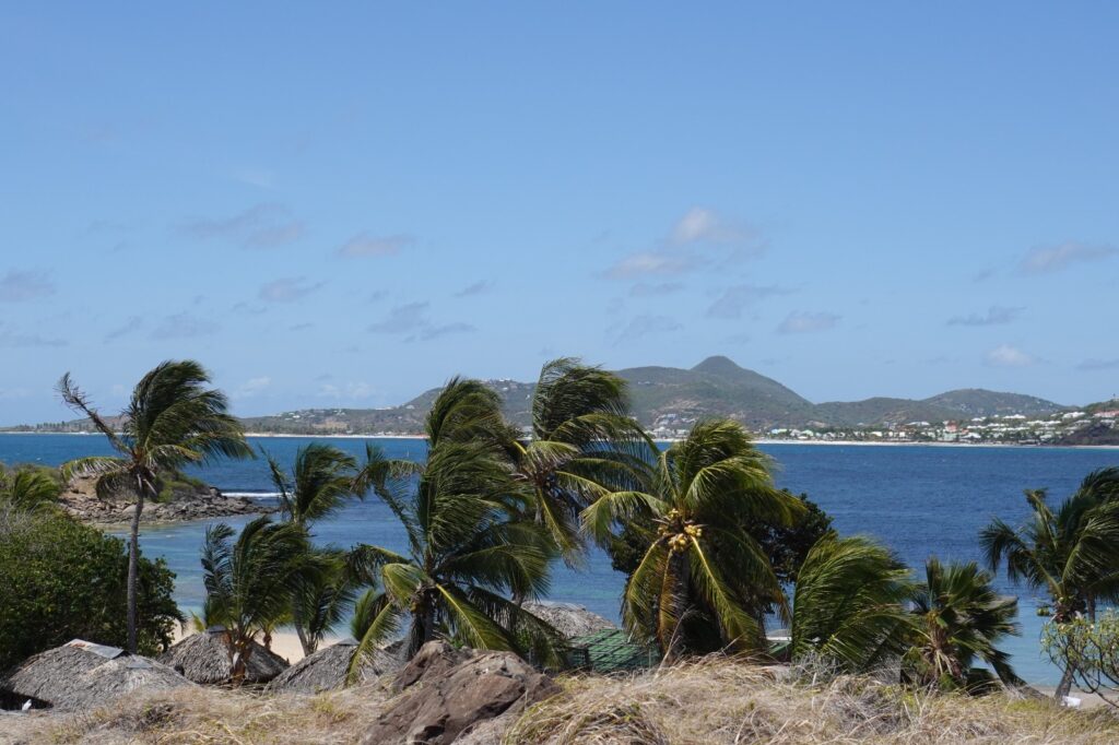 image00015