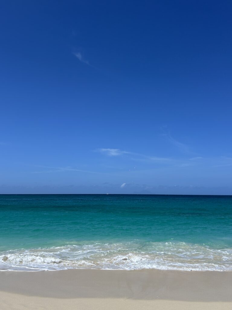 image00018