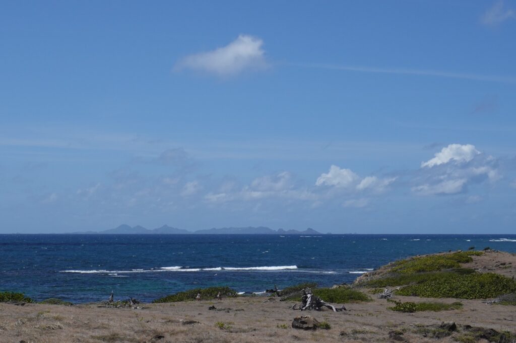 image00019
