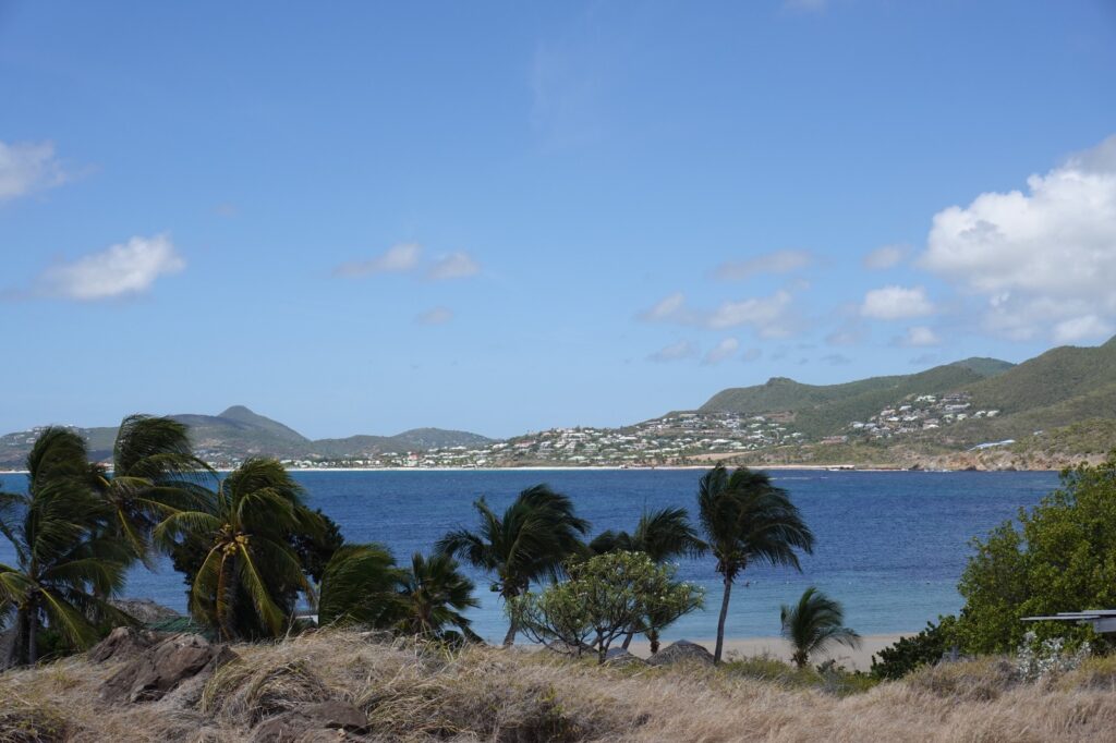 image00022