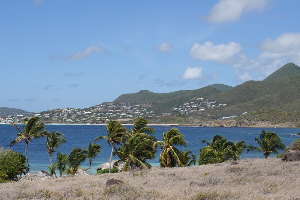 image00024