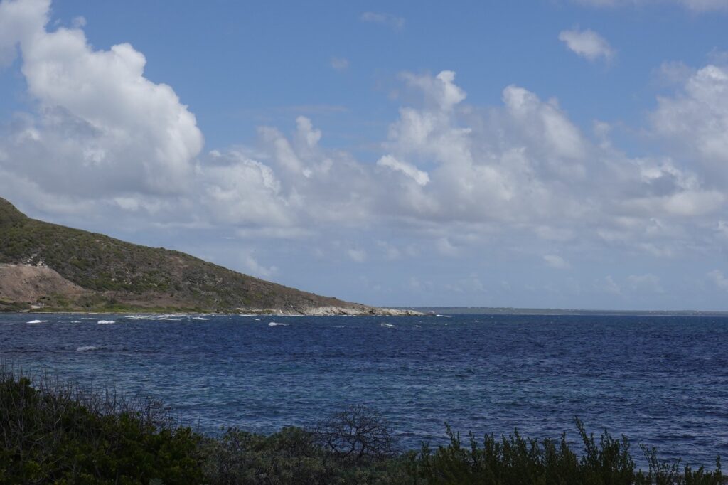 image00025