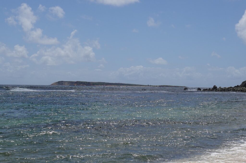 image00030